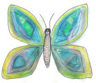 butterfly1.jpg (16044 bytes)