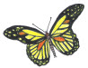 butterfly3.jpg (7452 bytes)