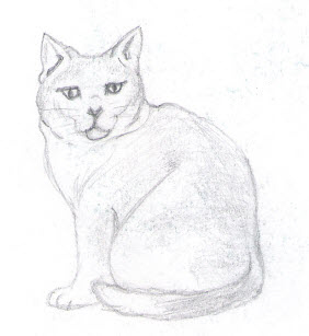cat1.jpg (26449 bytes)