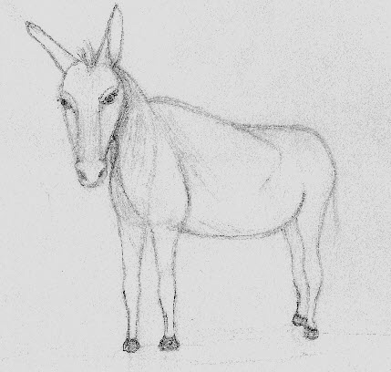 donkey.jpg (69833 bytes)