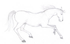 horse1.jpg (10530 bytes)