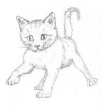 kittensketch.jpg (13751 bytes)