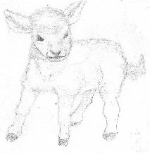 lamb.jpg (16889 bytes)