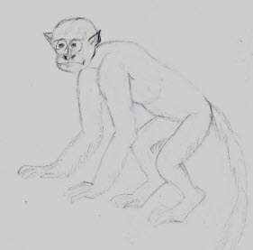 monkey.jpg (13432 bytes)